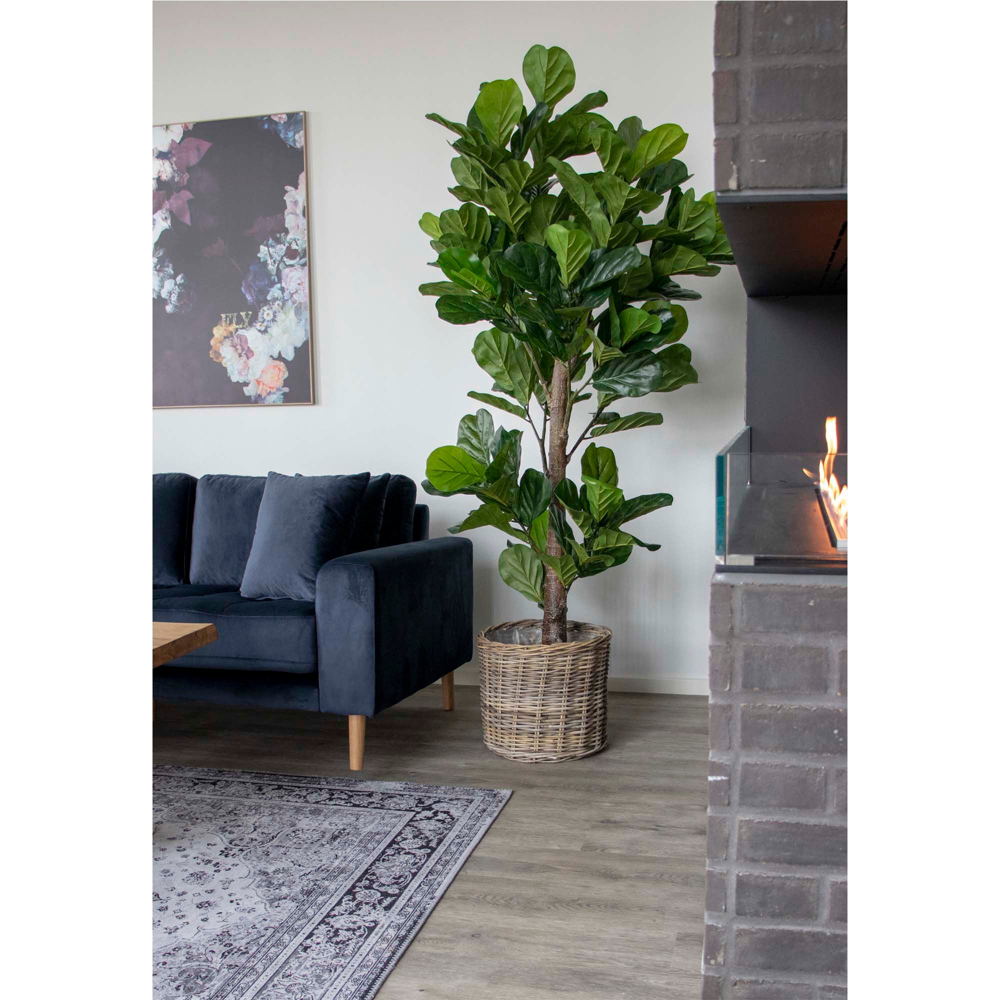 Fiddle Leaf Tree - Artificial plant, green H:190 cm