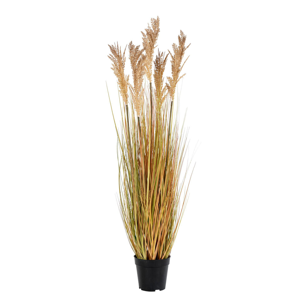Sorghum Grass - Artificial plant, natural H:110 cm