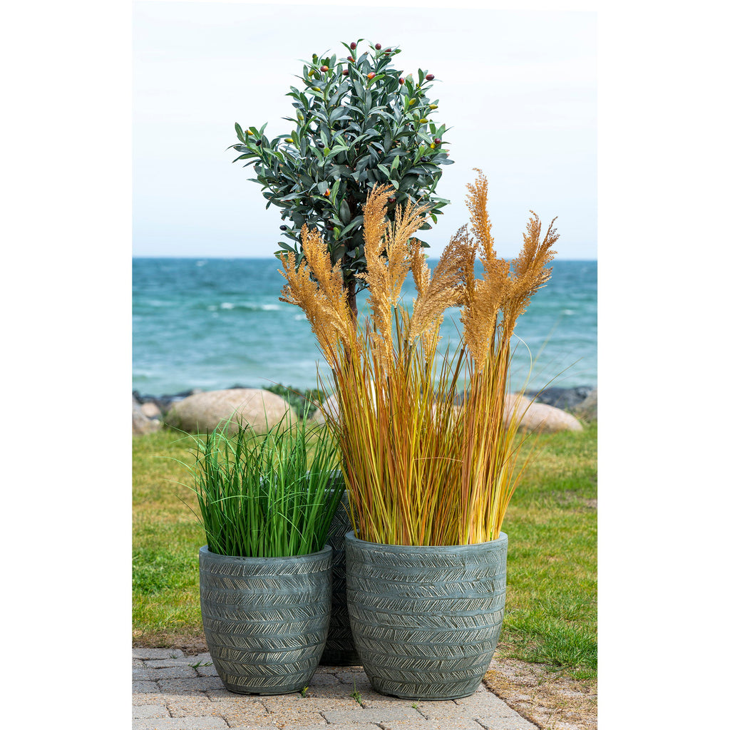 Sorghum Grass — Natural