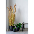 Sorghum Grass - Artificial plant, natural H:110 cm
