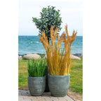 Sorghum Grass - Artificial plant, natural H:110 cm