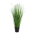 Poa Grass — Green