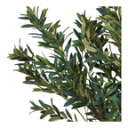 Olive Tree — Green