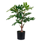 Fig Tree - Artificial plant, green H:60 cm