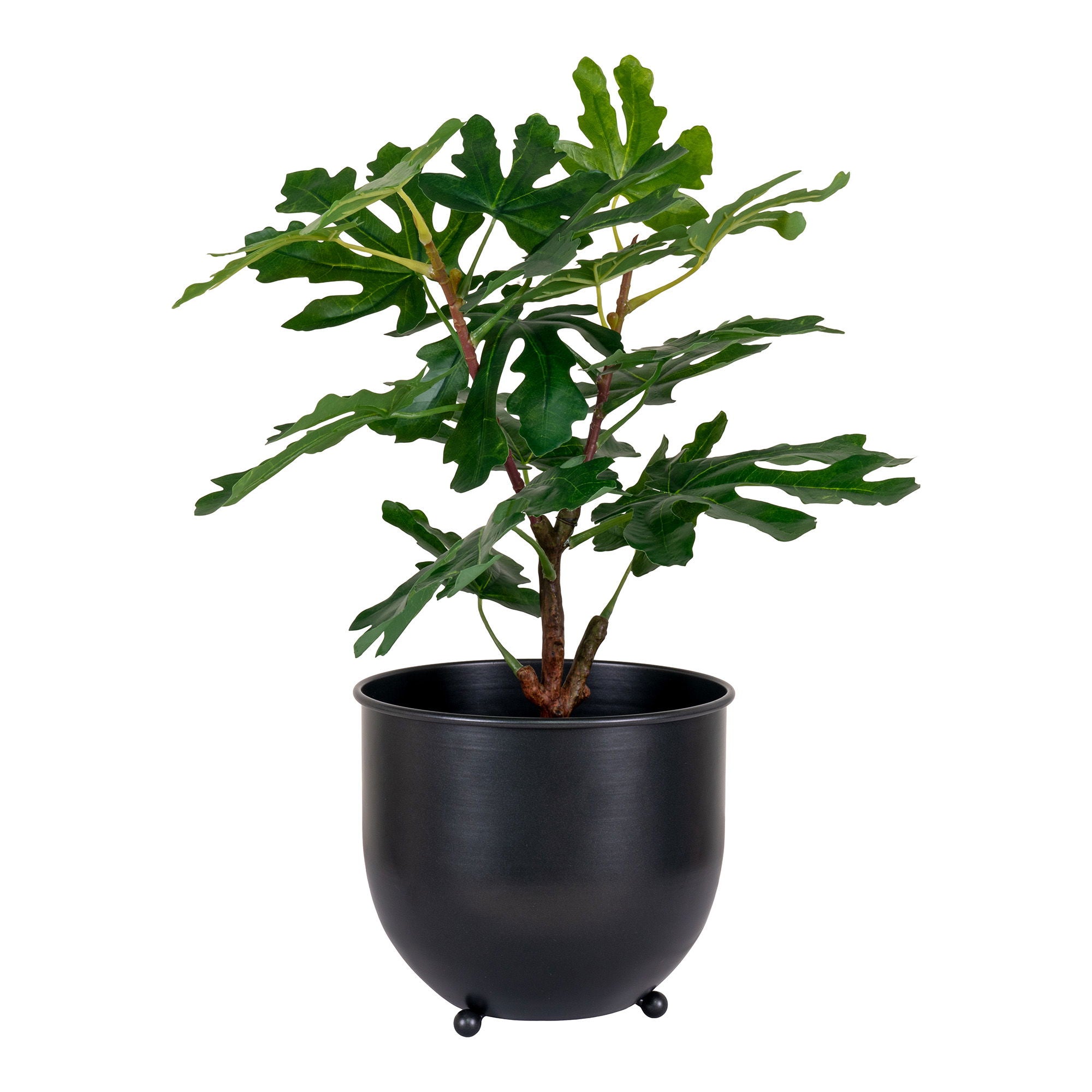 Fig Tree - Artificial plant, green H:60 cm
