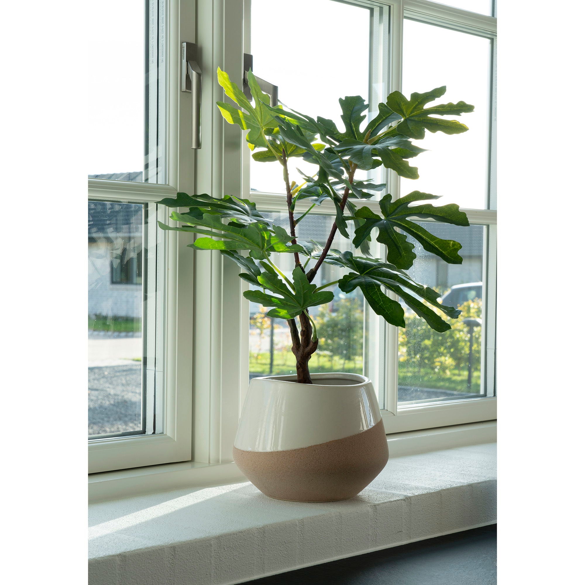 Fig Tree - Artificial plant, green H:60 cm