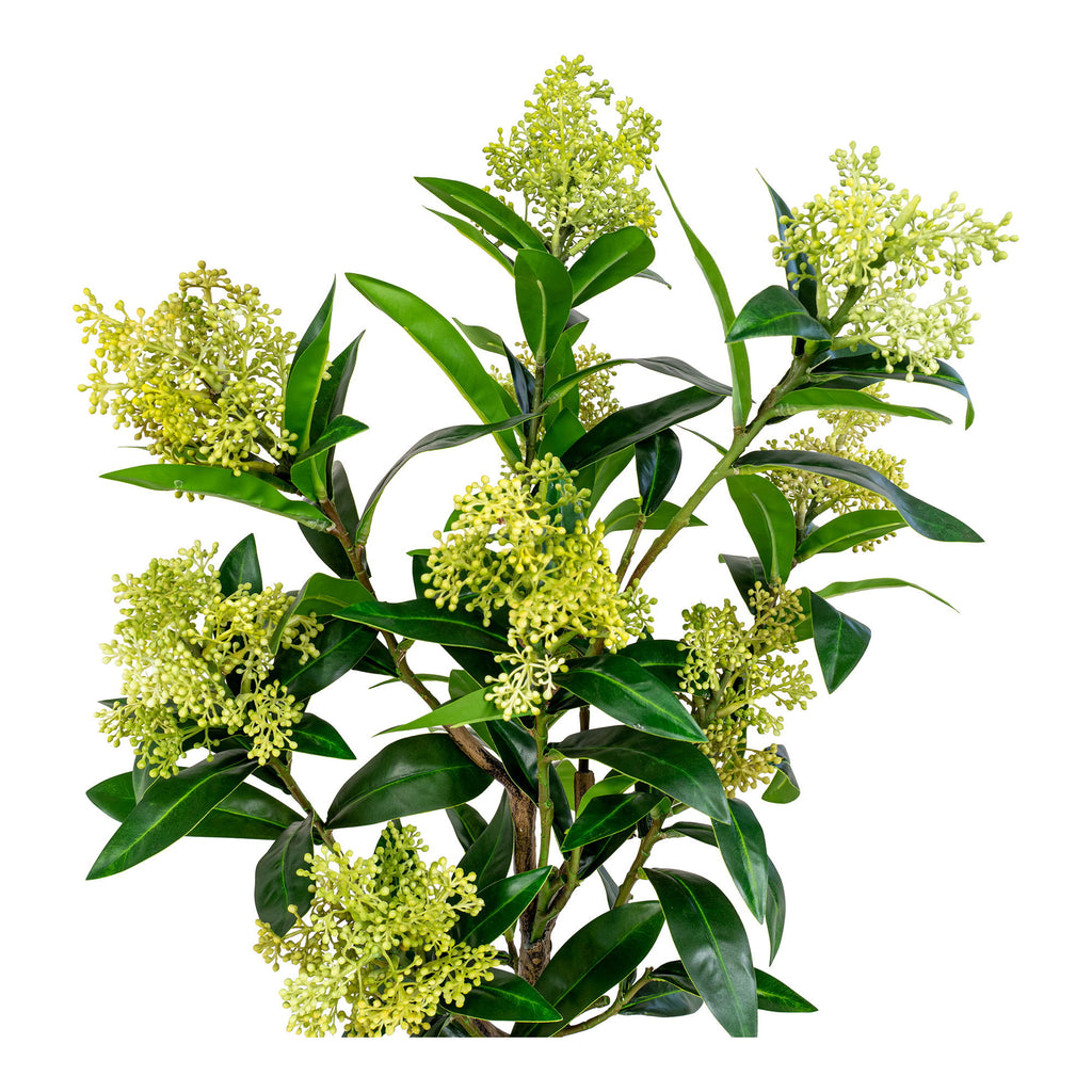 Skimmia Tree - Artificial plant, green H:75 cm