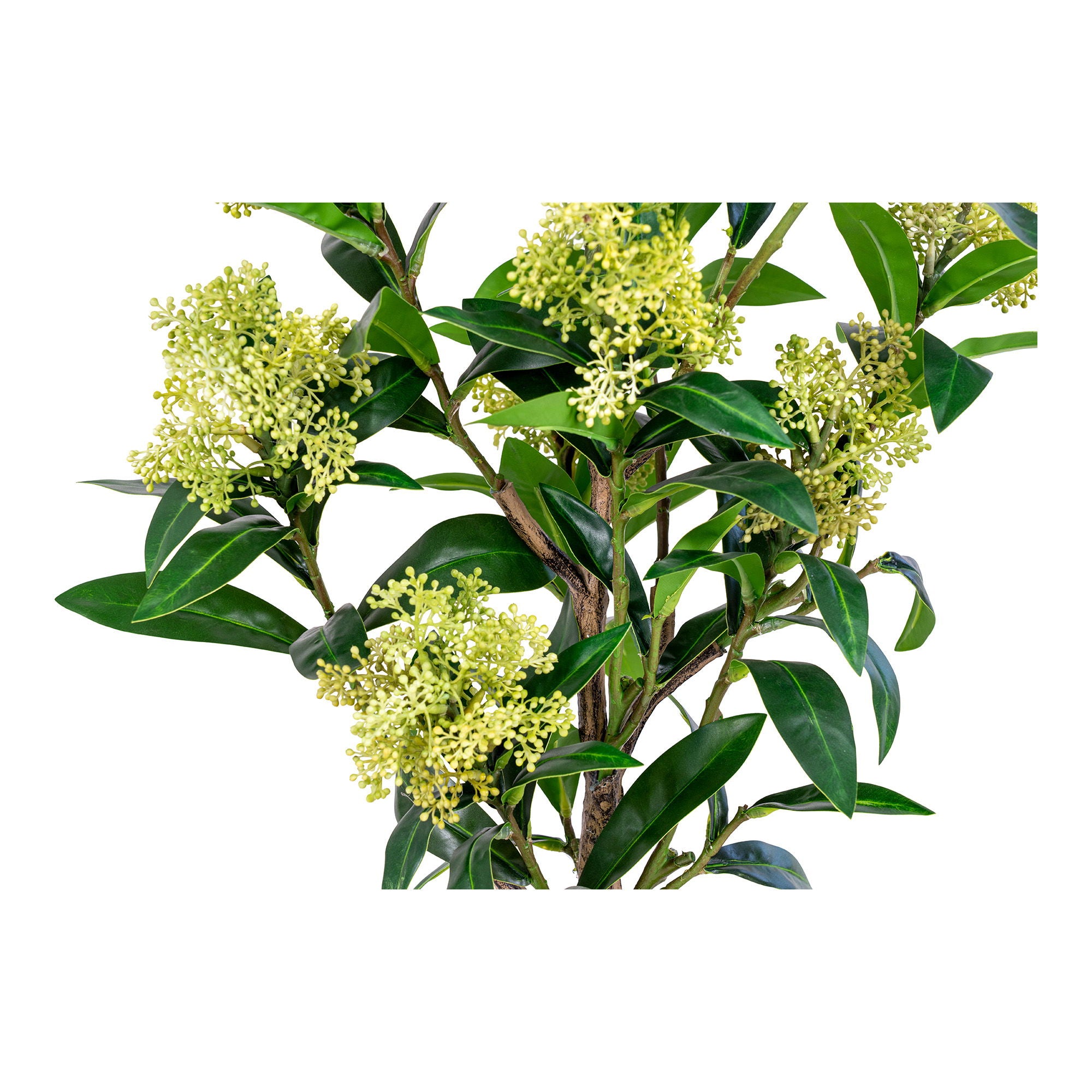 Skimmia Tree - Artificial plant, green H:75 cm