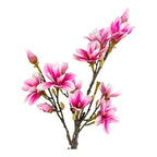 Magnolia Tree — Green / Rosa