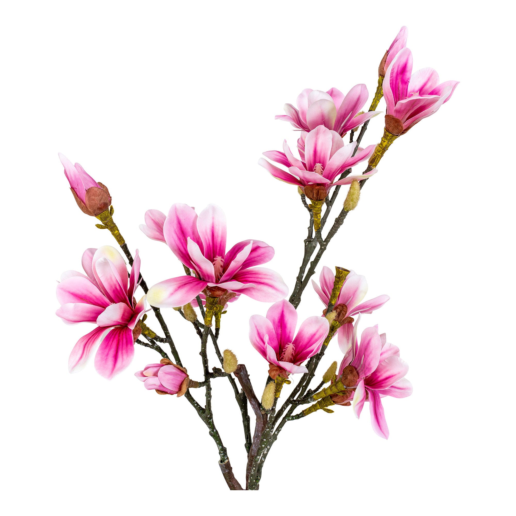 Magnolia Tree — Green / Rosa