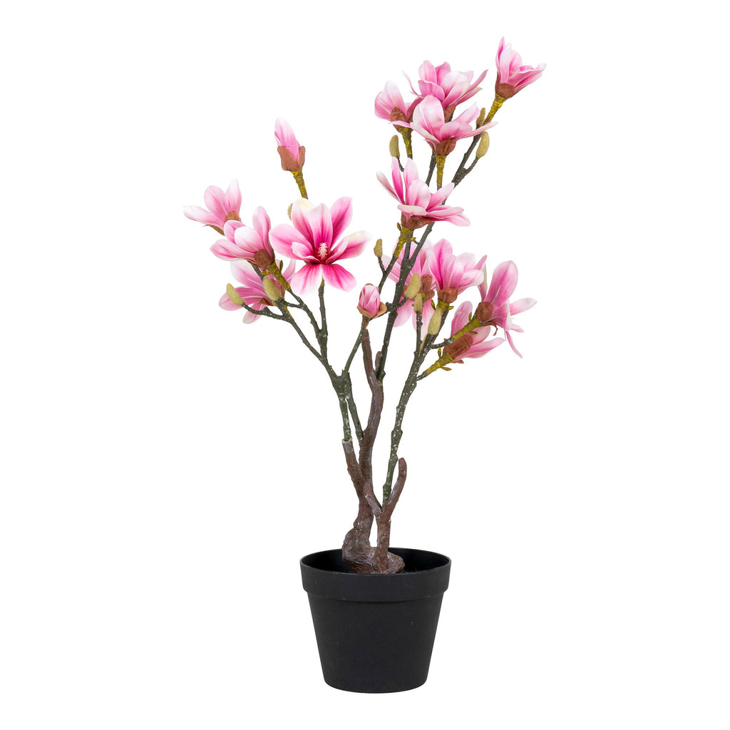 Magnolia Tree — Green / Rosa