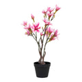 Magnolia Tree — Green / Rosa