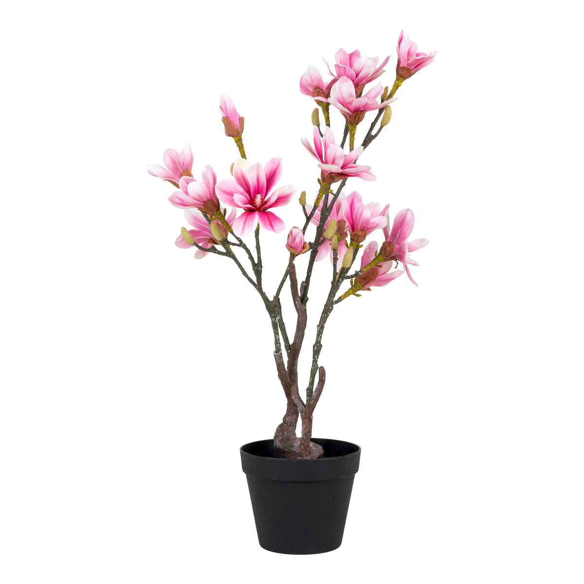 Magnolia Tree — Green / Rosa