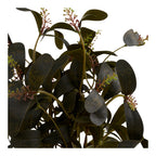 Plant — Green