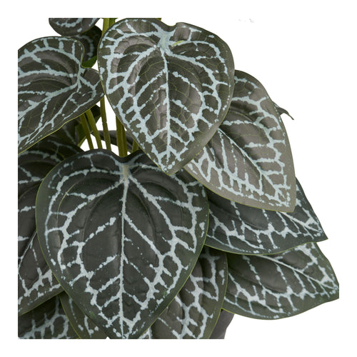 Artificial Plant - Plant, green H: 33 cm