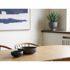 Agave Plant — Grey / Green