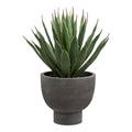 Agave Plant — Grey / Green