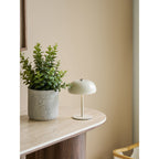 Succulent — Grey / Green
