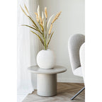 Decorative Grass — Beige / Sand
