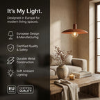 Astra Pendant Light – Brown Dome